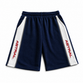 Sweatshorts In Navy Blue